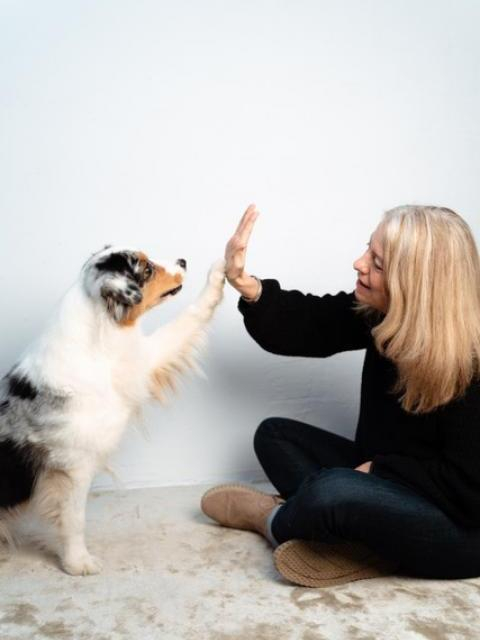 Therapiehund KJP